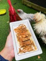 Fun recipe for pet chicken